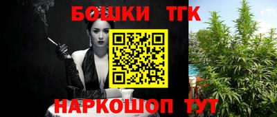 шишки Апшеронск