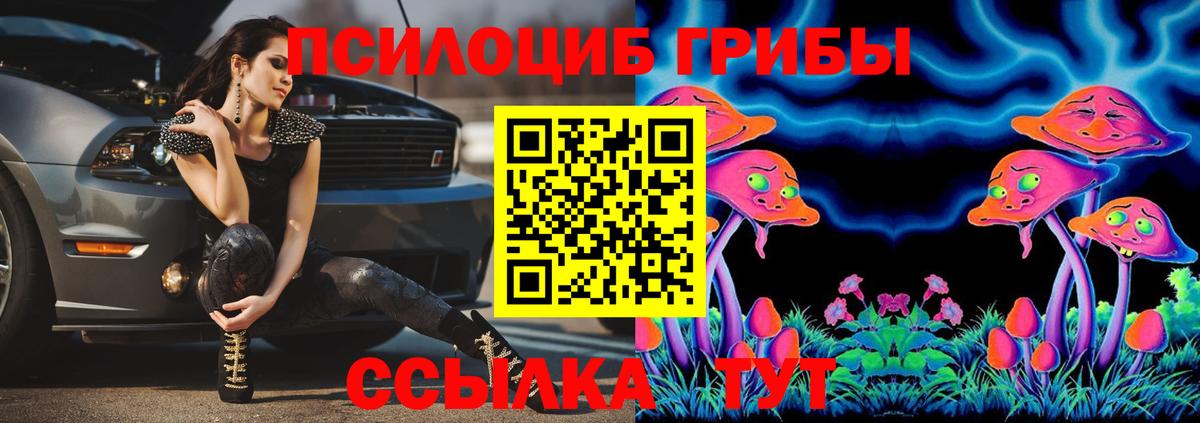 Барнаул  Галлюциногенные грибы прущие грибы  Вход с VPN 